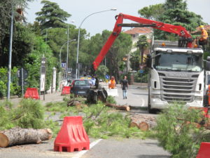 pronti a caricare in fretta per far scomparire la vergogna della ennesima operazione vandalica a danno della città e del paesaggio urbano : i polmoni ringraziano